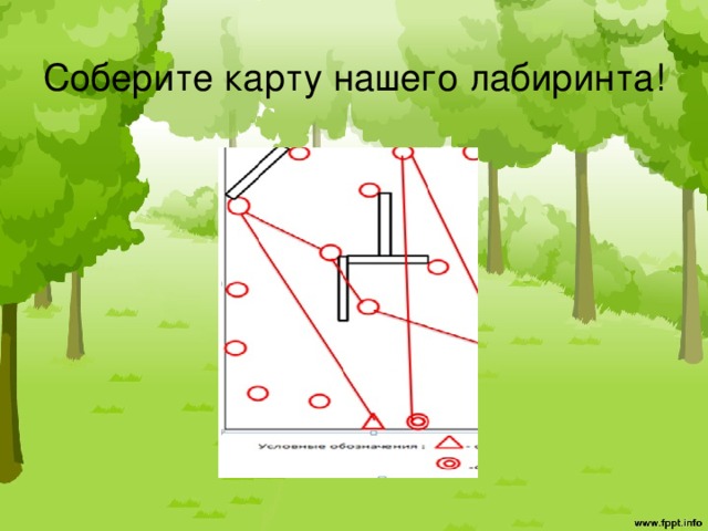 Соберите карту нашего лабиринта! 