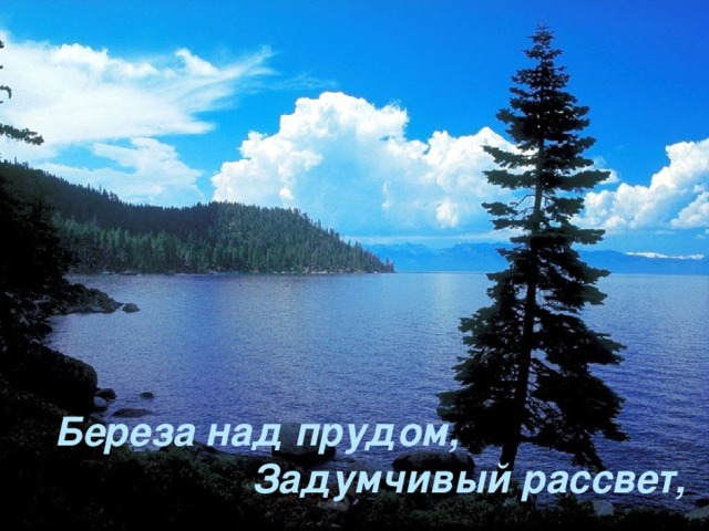 Береза над прудом,  Задумчивый рассвет, 
