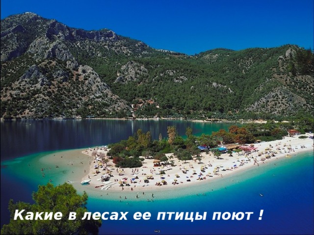 Какие в лесах ее птицы поют ! 
