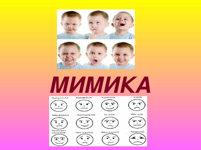  МИМИКА 