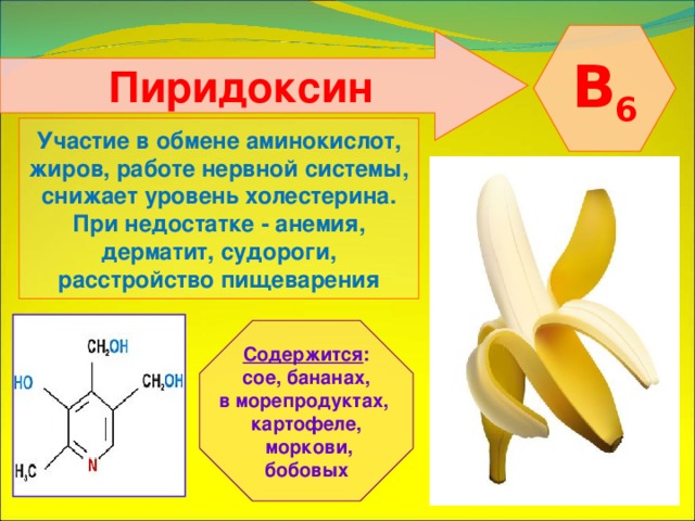 B 6 Пиридоксин Участие в обмене аминокислот, жиров, работе нервной системы, снижает уровень холестерина. При недостатке - анемия, дерматит, судороги, расстройство пищеварения Содержится : сое, бананах, в морепродуктах, картофеле,  моркови, бобовых 