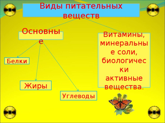 Виды питательных веществ Основные Витамины, минеральные соли, биологически активные вещества . Белки Жиры Углеводы 