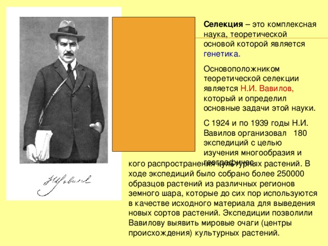 Селекция – это комплексная наука, теоретической основой которой является генетика. Основоположником теоретической селекции является Н.И. Вавилов, который и определил основные задачи этой науки. С 1924 и по 1939 годы Н.И. Вавилов организовал 180 экспедиций с целью изучения многообразия и географичес- кого распространения культурных растений. В ходе экспедиций было собрано более 250000 образцов растений из различных регионов земного шара, которые до сих пор используются в качестве исходного материала для выведения новых сортов растений. Экспедиции позволили Вавилову выявить мировые очаги (центры происхождения) культурных растений. 