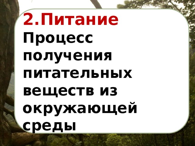 2.Питание Процесс получения питательных веществ из окружающей среды 