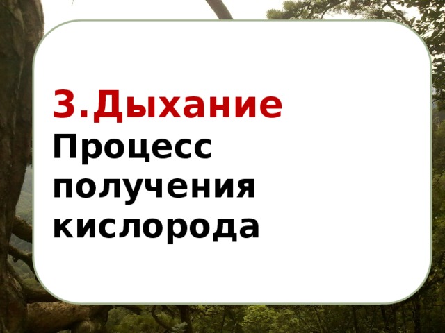 3.Дыхание Процесс получения кислорода 