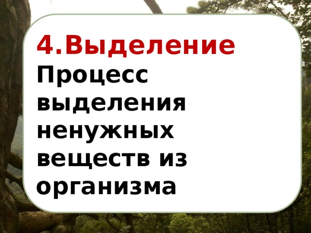 4.Выделение Процесс выделения ненужных веществ из организма 