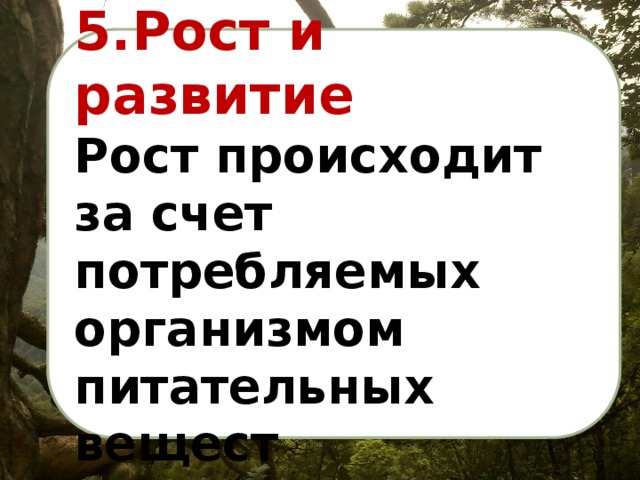 5.Рост и развитие Рост происходит за счет потребляемых организмом питательных вещест 