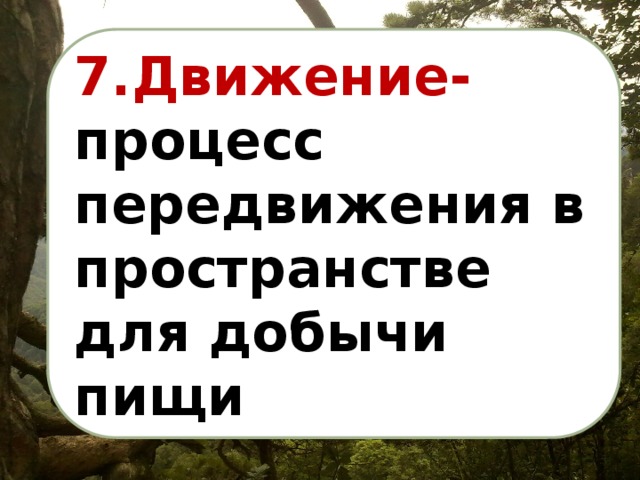 7.Движение- процесс передвижения в пространстве для добычи пищи 