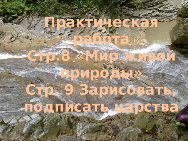 Практическая работа Стр.8 «Мир живой природы» Стр. 9 Зарисовать, подписать царства 