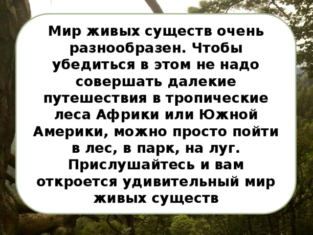 Мир живых существ очень разнообразен. Чтобы убедиться в этом не надо совершать далекие путешествия в тропические леса Африки или Южной Америки, можно просто пойти в лес, в парк, на луг. Прислушайтесь и вам откроется удивительный мир живых существ 