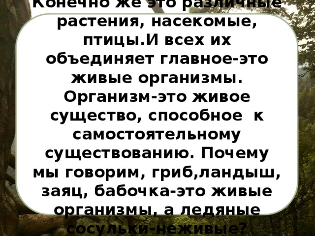 Конечно же это различные растения, насекомые, птицы.И всех их объединяет главное-это живые организмы. Организм-это живое существо, способное к самостоятельному существованию. Почему мы говорим, гриб,ландыш, заяц, бабочка-это живые организмы, а ледяные сосульки-неживые? 