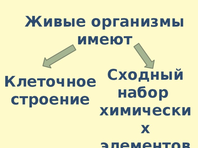 Отличия живых организмов от неживых. Отличие живого от неживого биология 5 класс. Отличие живого от неживого биология. Чем дивое отличается т нежевого клеточное строение примеры.