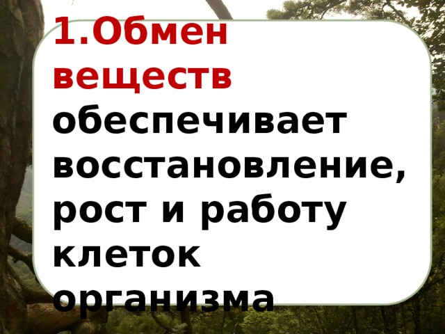 1.Обмен веществ обеспечивает восстановление, рост и работу клеток организма 