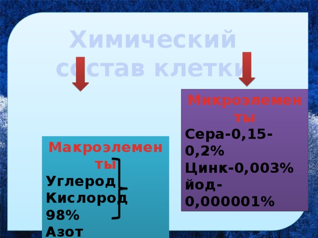 Химический состав клетки Микроэлементы Сера-0,15-0,2% Цинк-0,003% йод-0,000001% Макроэлементы Углерод Кислород 98% Азот Водород 