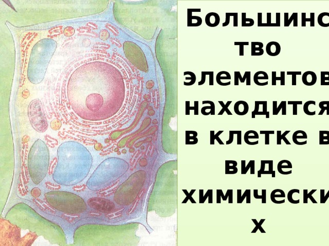 Большинство элементов находится в клетке в виде химических соединений- веществ   