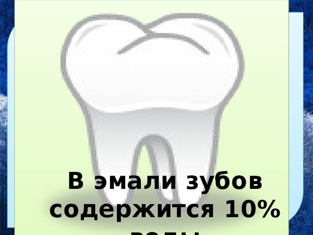 Вода -хороший растворитель, участвует во многих химических реакциях, удаляет ненужные и вредные вещества из организма, способствует перемещению кислорода, углекислого газа и питательных веществ по организму В эмали зубов содержится 10% воды 