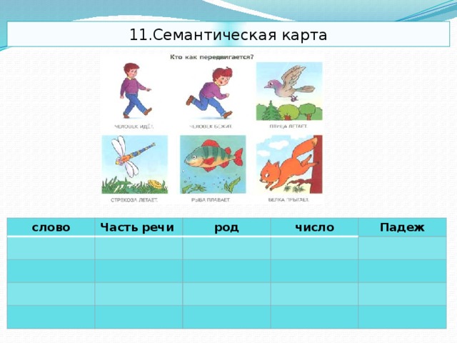 11.Семантическая карта слово Часть речи род число Падеж  