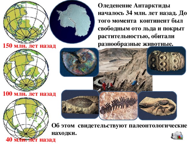 Оледенение Антарктиды началось 34 млн. лет назад. До того момента континент был свободным ото льда и покрыт растительностью, обитали разнообразные животные. 150 млн. лет назад 100 млн. лет назад Об этом свидетельствуют палеонтологические находки. 40 млн. лет назад  