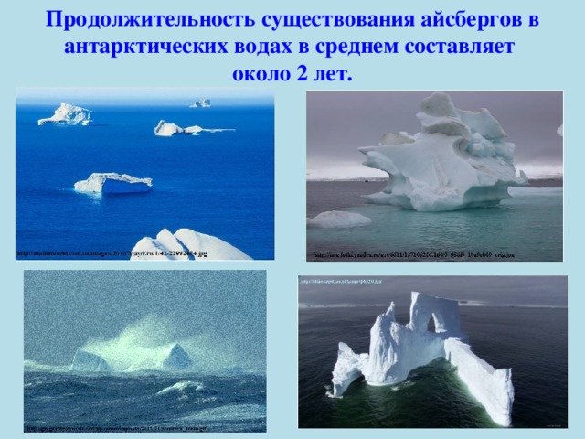 Продолжительность существования айсбергов в антарктических водах в среднем составляет около 2 лет. 