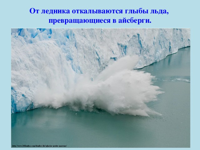 От ледника откалываются глыбы льда, превращающиеся в айсберги. 