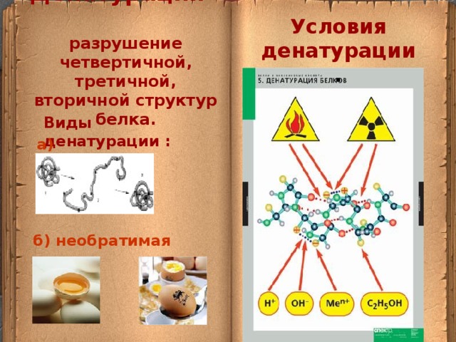 Как называется процесс разрушения белков. Разрушение третичной структуры белка. Четвертичная структура белков. Денатурация белков. Разрушение третичной и вторичной структуры белков называется.