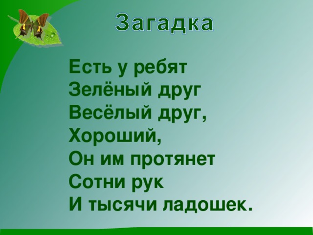 Тема для детей «зеленые друзья (растения)». Правило зеленого друга.