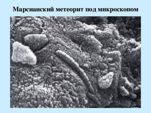 Марсианский метеорит под микроскопом 
