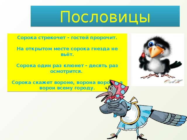 Ворон ворона ударение. Поговорка про сороку. Пословицы про сороку. Пословицы и поговорки о Сороке. Поговорки про сорок.