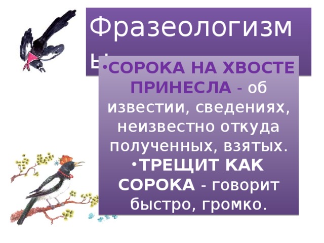 Фразеологизмы про птиц. Сорока на хвосте принесла фразеологизм. Фразеологизмы про сороку. Сорока на хвосте принесла значение. Трещит как сорока.