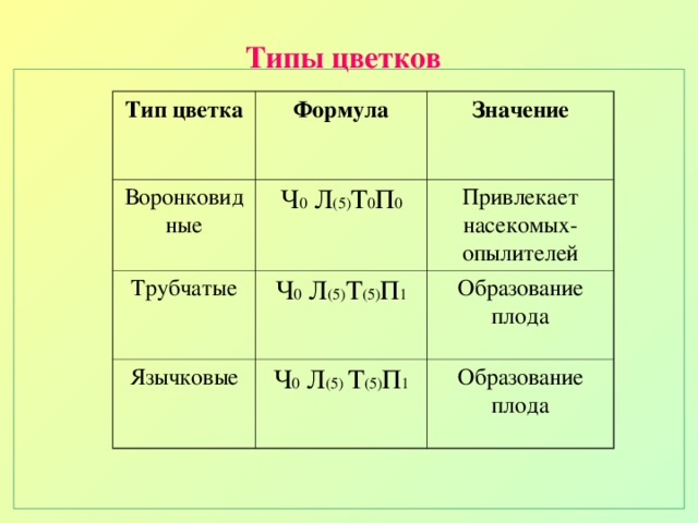 Ч 5 л 5. Типы цветков. Формулы растений. Формула цветка трубчатого типа растения. Формулы по биологии.