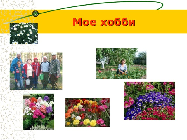 Мое хобби 