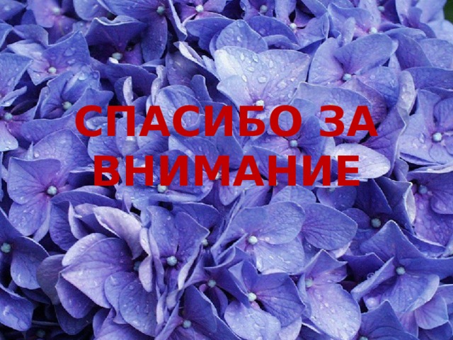 СПАСИБО ЗА ВНИМАНИЕ 
