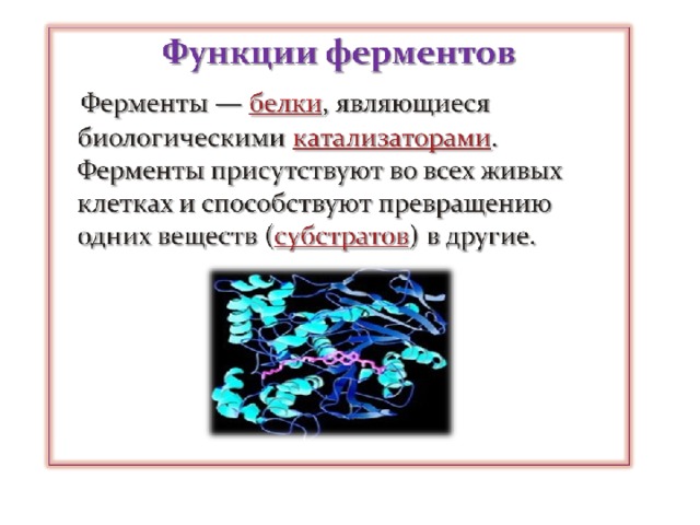 Ферменты в химии презентация