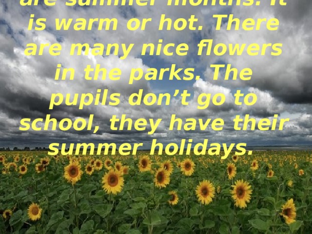 June, July and August are summer months. It is warm or hot. There are many nice flowers in the parks. The pupils don’t go to school, they have their summer holidays.  