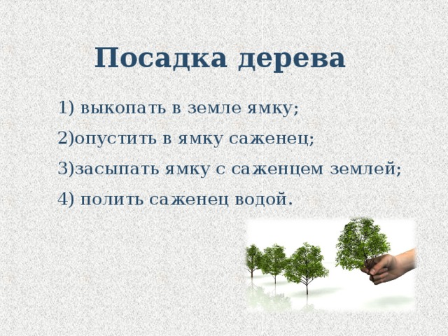 Посадка дерева 1) выкопать в земле ямку; 2)опустить в ямку саженец; 3)засыпать ямку с саженцем землей; 4) полить саженец водой. 