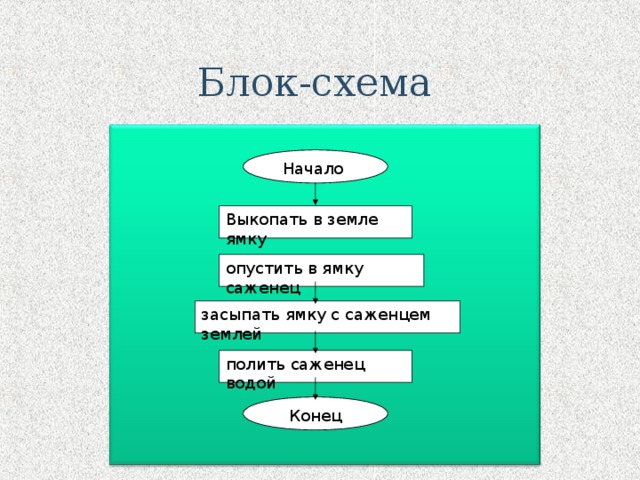 Блок-схема Начало Выкопать в земле ямку опустить в ямку саженец засыпать ямку с саженцем землей полить саженец водой Конец 