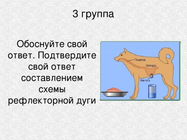 Что обозначает обоснуй. Что значит обоснуйте свой ответ. Что значит обоснуй свой ответ. Что значит обосновать. Что значит обоснованно.