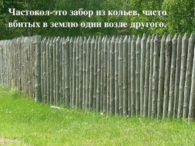 Частокол-это забор из кольев, часто вбитых в землю один возле другого. 