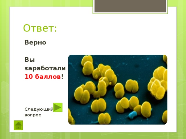 Ответ: Верно  Вы заработали 10 баллов !    Следующий вопрос 