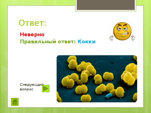 Ответ: Неверно Правильный ответ: Кокки       Следующий вопрос  