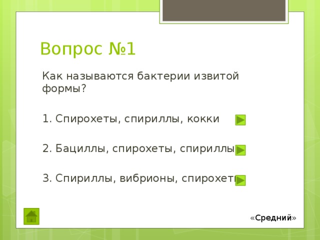 Вопрос №1 Как называются бактерии извитой формы? 1. Спирохеты, спириллы, кокки 2. Бациллы, спирохеты, спириллы 3. Спириллы, вибрионы, спирохеты «Средний» 