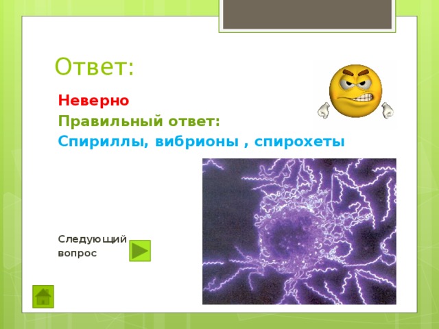 Ответ: Неверно Правильный ответ: Спириллы, вибрионы , спирохеты     Следующий вопрос 