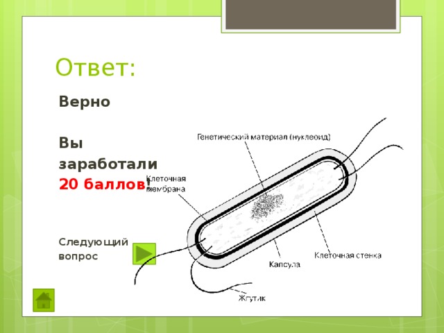 Ответ: Верно  Вы заработали 20 баллов !   Следующий вопрос 