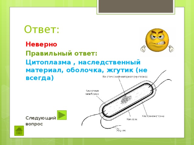 Ответ: Неверно Правильный ответ: Цитоплазма , наследственный материал, оболочка, жгутик (не всегда)     Следующий вопрос  