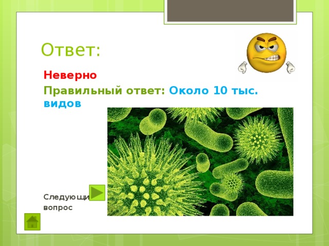 Ответ: Неверно Правильный ответ: Около 10 тыс. видов       Следующий вопрос  