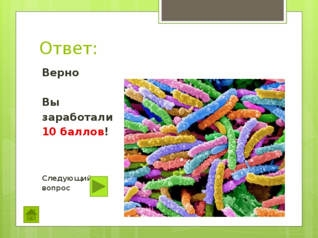 Ответ: Верно  Вы заработали 10 баллов !    Следующий вопрос 