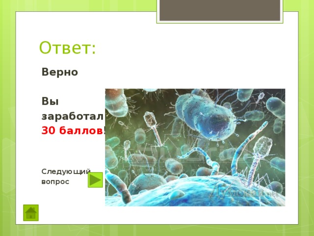 Ответ: Верно  Вы заработали 30 баллов !   Следующий вопрос  