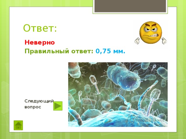 Ответ: Неверно Правильный ответ: 0,75 мм.      Следующий вопрос  