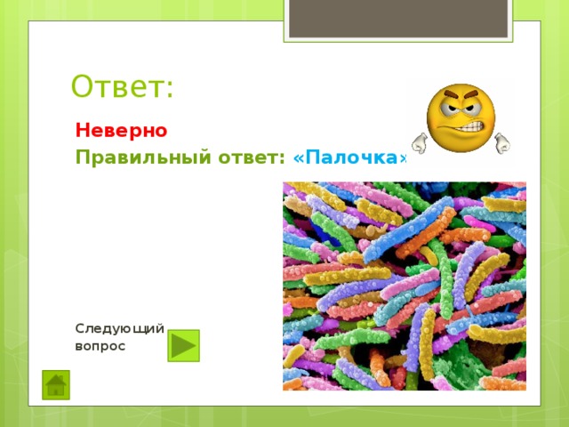 Ответ: Неверно Правильный ответ: «Палочка»         Следующий вопрос  