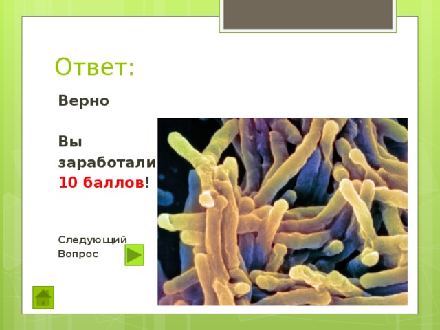 Ответ: Верно  Вы заработали 10 баллов !   Следующий Вопрос 